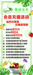 农产品展架 紫通