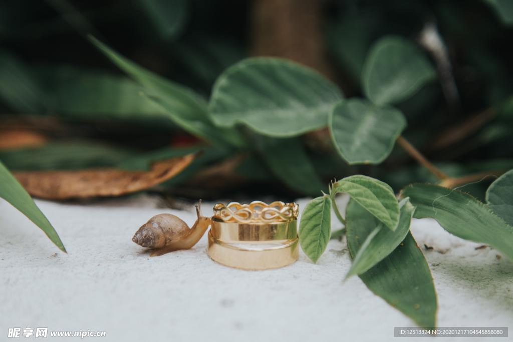蜗牛