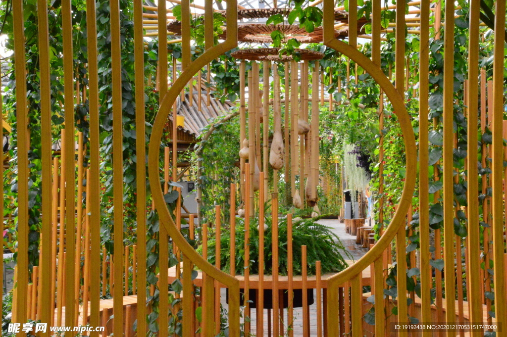 温室风景