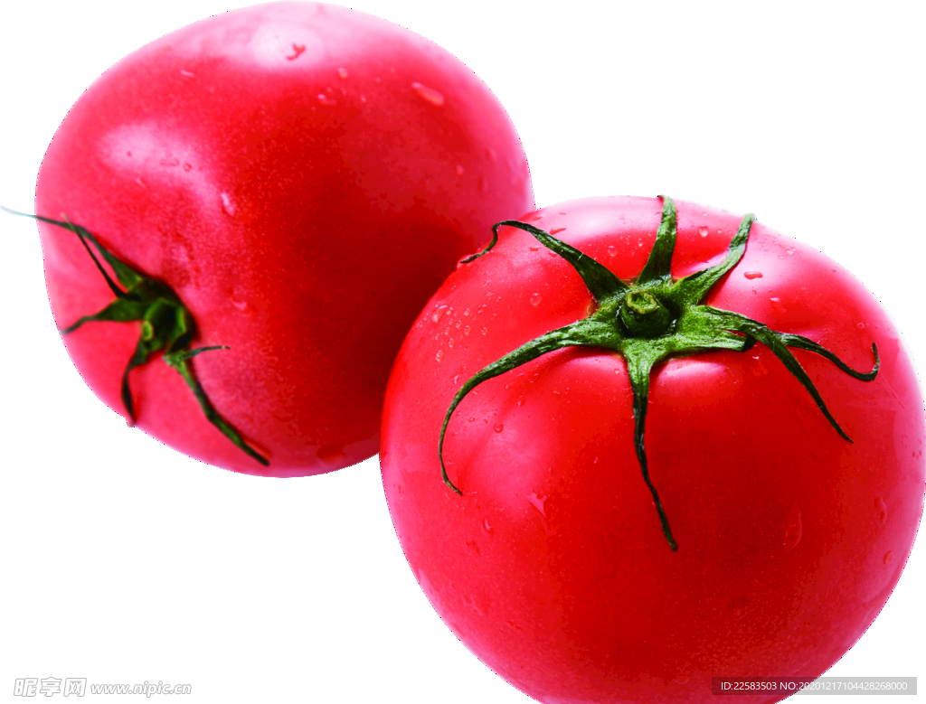 西红柿番茄透明免抠素材