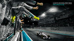 F1 胜利