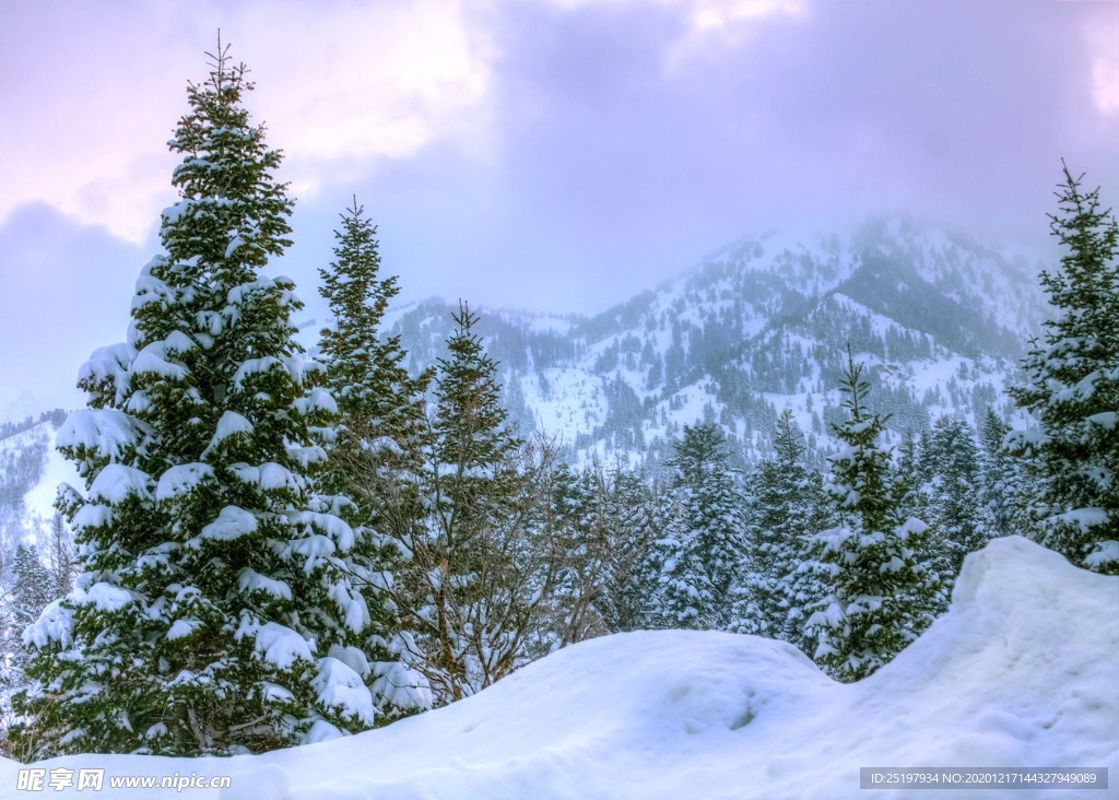 雪景