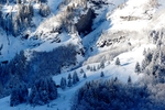 雪景