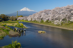 风景