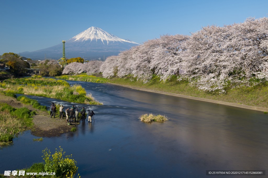 风景