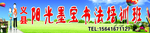 书法培训