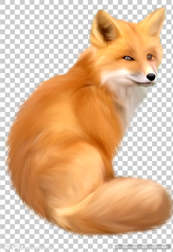 狐狸