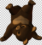 熊