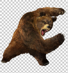 熊