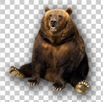 熊