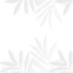 装饰树叶阴影元素