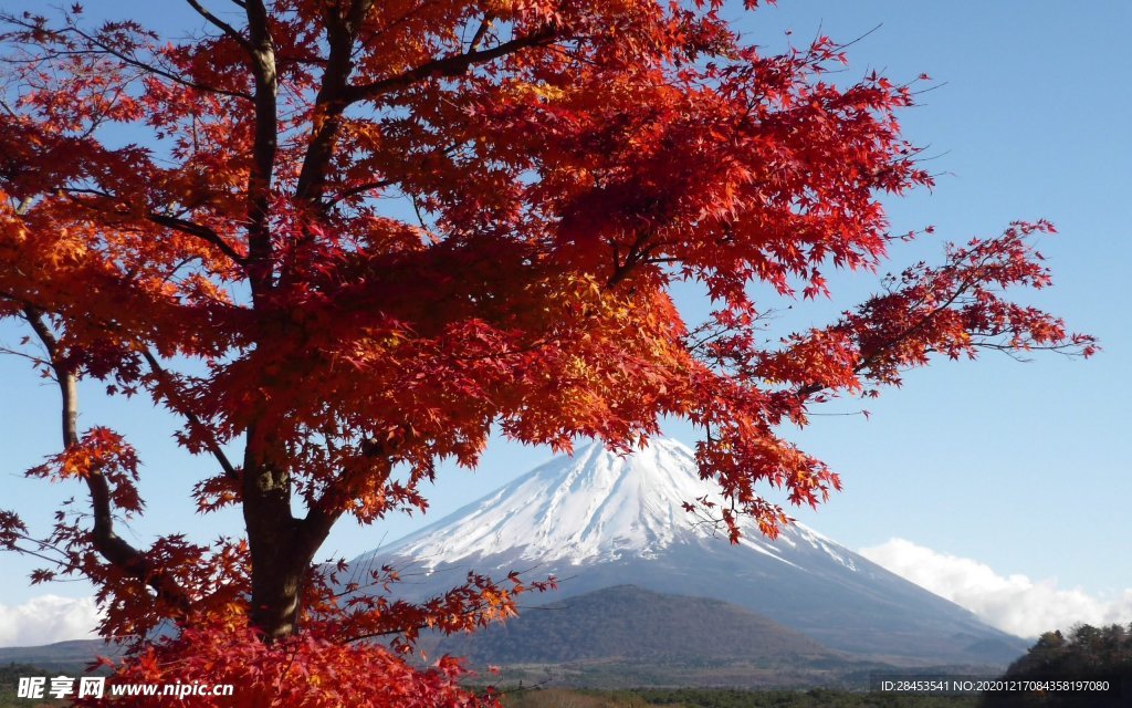 风景