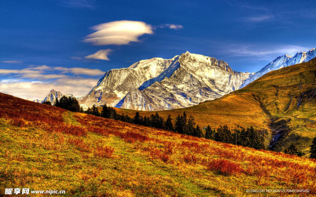 风景