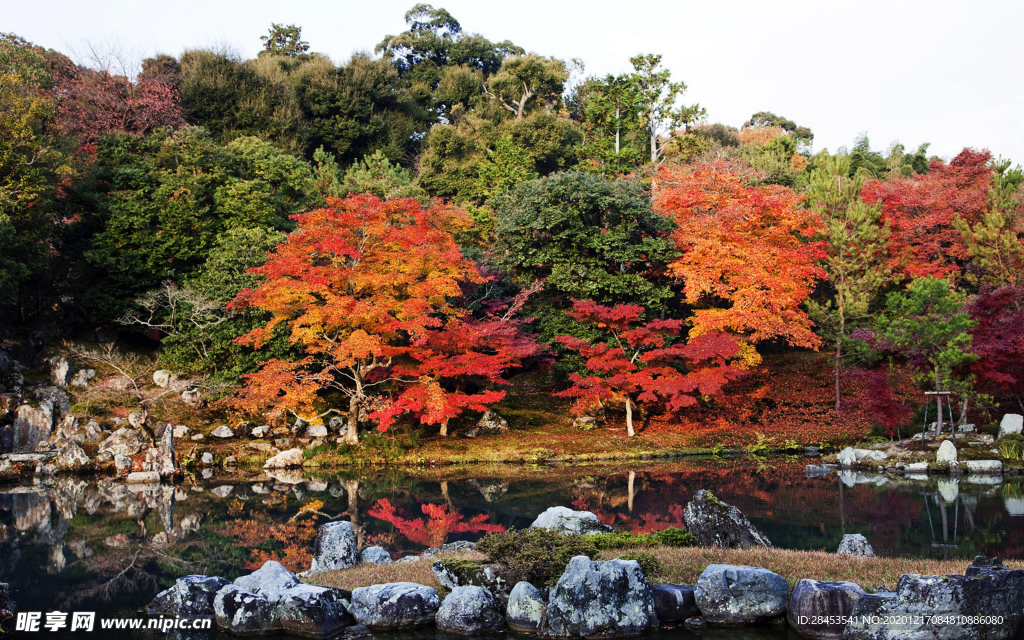 风景