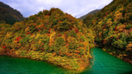 风景