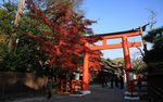 风景