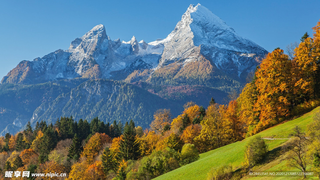 风景