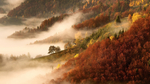 风景