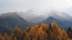 风景