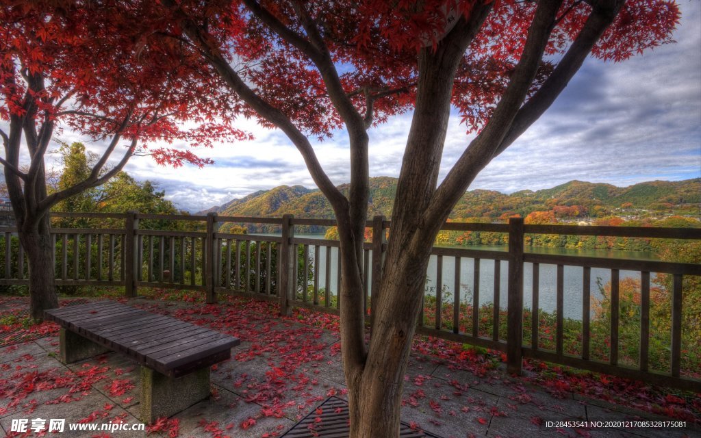 风景