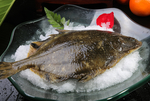 美食