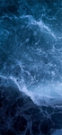 海洋