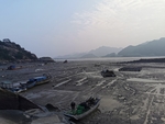 滩涂