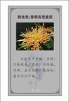 植物卡片