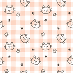 大牌猫