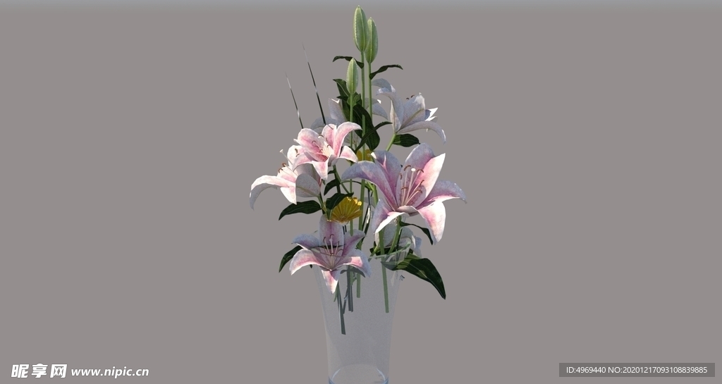 花艺 玻璃花瓶 花瓶 植物