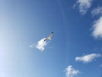 蓝天