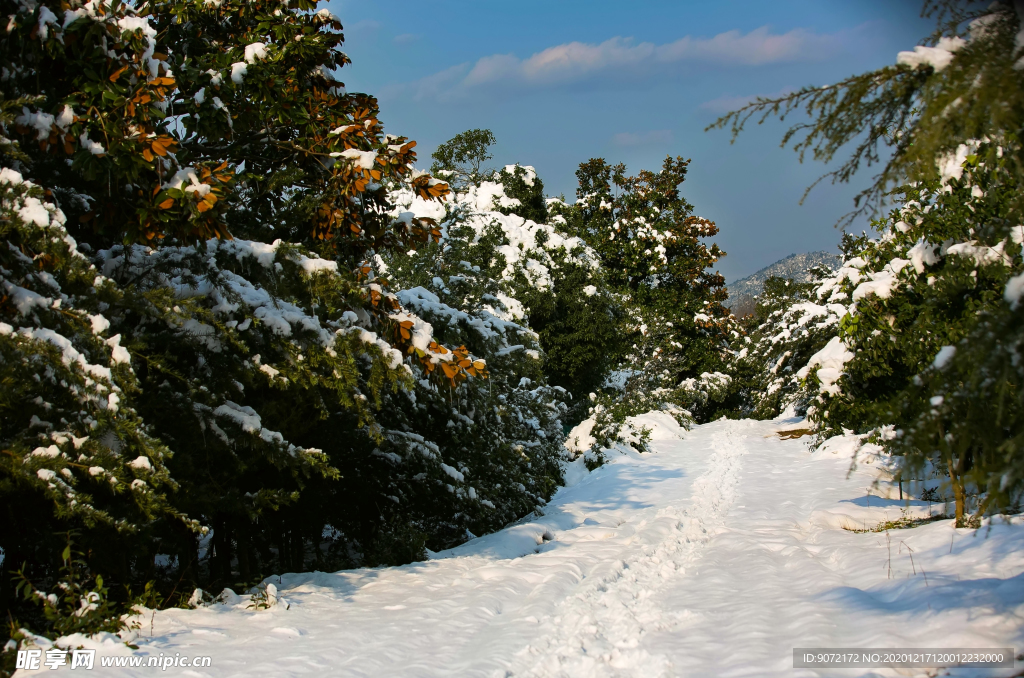 妙西雪景