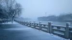 扬州古运河雪