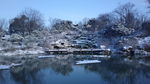 瘦西湖雪后风光