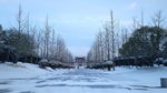 风雪宋夹城