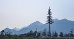 远山
