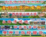 家禽批发门头海报
