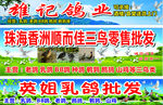 鸽子门头海报