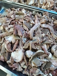 羊杂