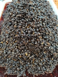 豆豉