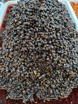 豆豉