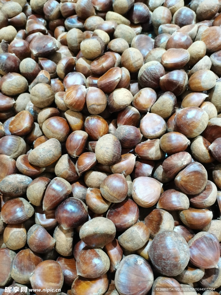 板栗栗子