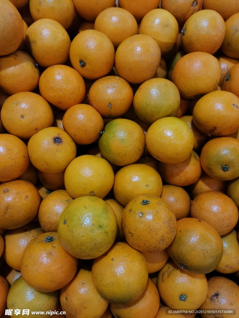 皇帝柑