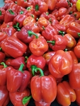 红色菜椒