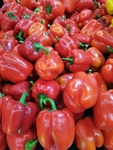 红色菜椒