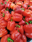 红色菜椒