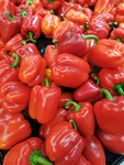红色菜椒