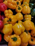 黄色菜椒