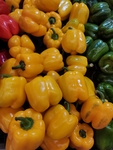 黄色菜椒