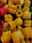黄色菜椒